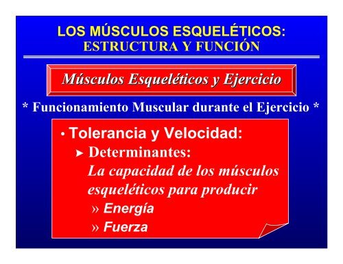 CONTROL MUSCULAR DEL MOVIMIENTO: Estructura ... - Saludmed