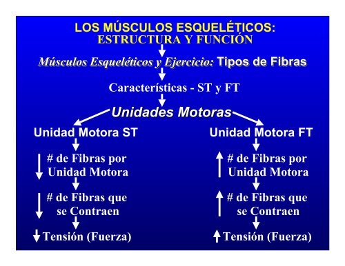 CONTROL MUSCULAR DEL MOVIMIENTO: Estructura ... - Saludmed