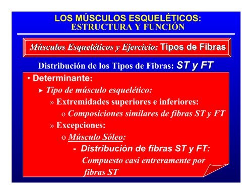 CONTROL MUSCULAR DEL MOVIMIENTO: Estructura ... - Saludmed