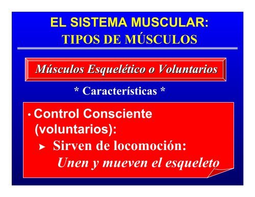 CONTROL MUSCULAR DEL MOVIMIENTO: Estructura ... - Saludmed