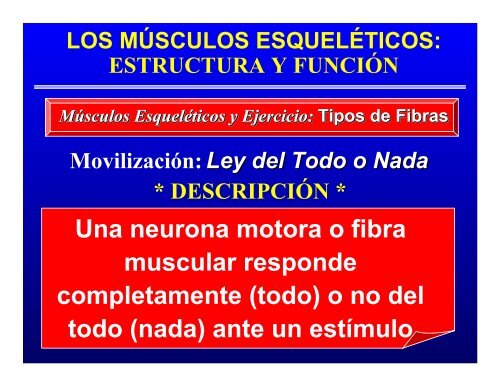 CONTROL MUSCULAR DEL MOVIMIENTO: Estructura ... - Saludmed