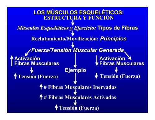 CONTROL MUSCULAR DEL MOVIMIENTO: Estructura ... - Saludmed