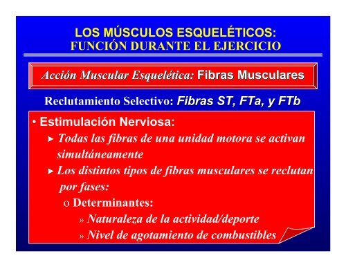 CONTROL MUSCULAR DEL MOVIMIENTO: Estructura ... - Saludmed