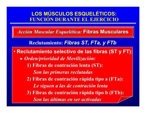 CONTROL MUSCULAR DEL MOVIMIENTO: Estructura ... - Saludmed