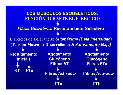 CONTROL MUSCULAR DEL MOVIMIENTO: Estructura ... - Saludmed