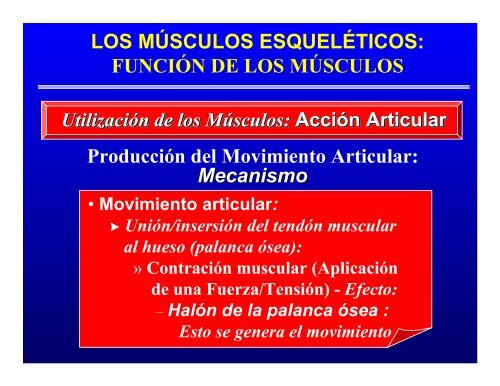 CONTROL MUSCULAR DEL MOVIMIENTO: Estructura ... - Saludmed