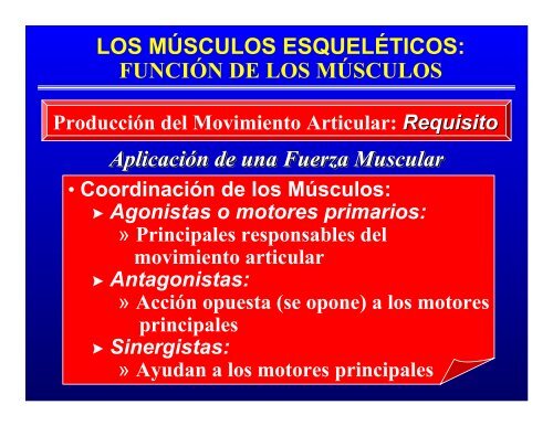 CONTROL MUSCULAR DEL MOVIMIENTO: Estructura ... - Saludmed