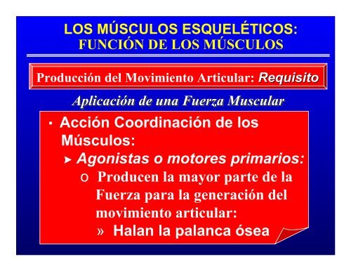 CONTROL MUSCULAR DEL MOVIMIENTO: Estructura ... - Saludmed