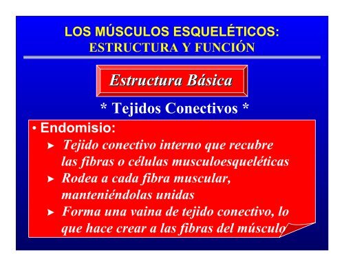 CONTROL MUSCULAR DEL MOVIMIENTO: Estructura ... - Saludmed