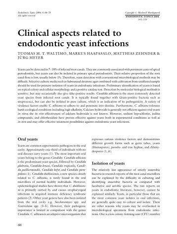 Clinical aspects related to endodontic yeast infections - College of ...