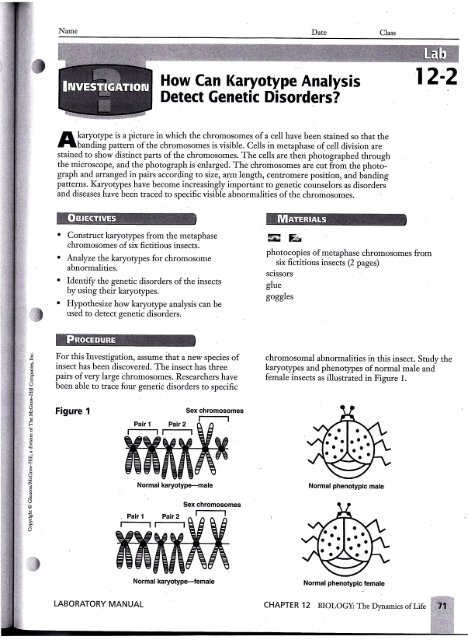 36 Human Genetic Disorders Worksheet Answers - Worksheet Source 2021
