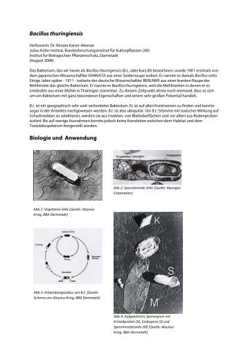 Bacillus thuringiensis Biologie und Anwendung - Julius Kühn-Institut