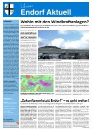 Wohin mit den Windkraftanlagen? - Sundern Endorf / Home