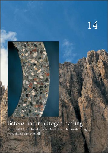 Betons natur - autogen healing - Dansk Beton