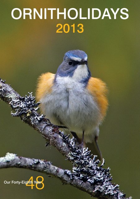 Download 2013 Brochure (.pdf) - Ornitholidays
