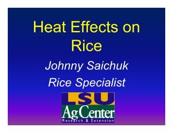 Heat Effects on Rice, Johnny Saichuk, LSU AgCentger.ppt ...