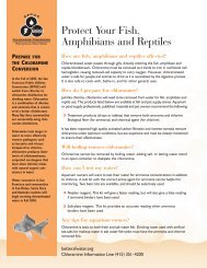 Protect your Fish, Amphibians, and Reptiles