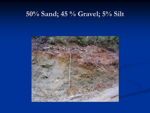 Swamp Point Project - Minerals North