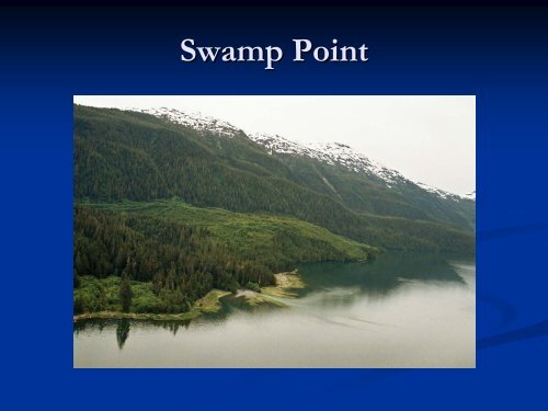 Swamp Point Project - Minerals North