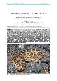 Taxonomie zmijÃ­ rodu Echis Merrem 1820 - MEGASPHERA ...