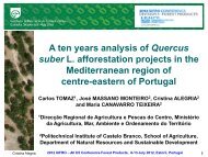 A ten years analysis of Quercus suber L. afforestation projects in the ...