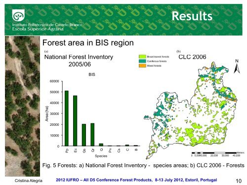 A ten years analysis of Quercus suber L. afforestation projects in the ...