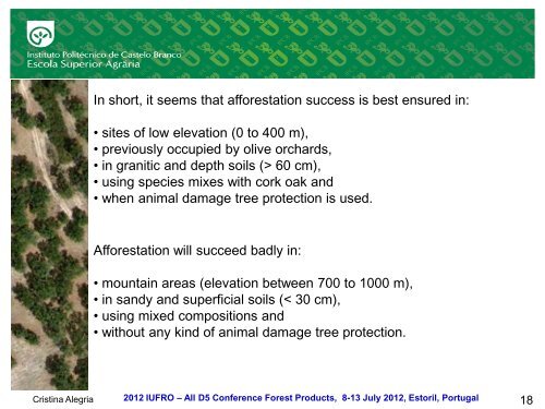 A ten years analysis of Quercus suber L. afforestation projects in the ...