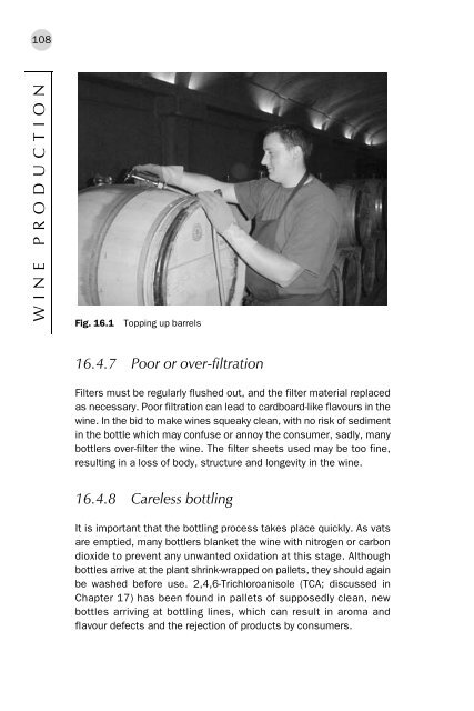 Wine Production : Vine to Bottle - Vinum Vine