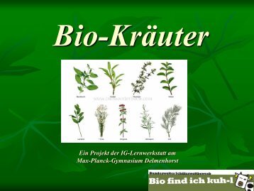 Unsere Rezepte - Bio find' ich kuh-l