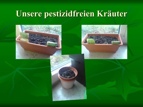 Unsere Rezepte - Bio find' ich kuh-l