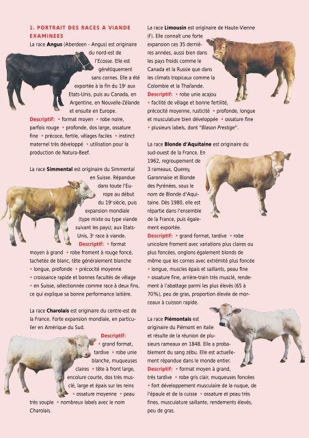 Comparaison de différentes races bovines à viande - Association ...