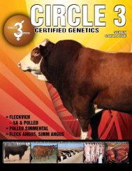 Circle 3 Genetics - Bar 5 Stock Farms Ltd.