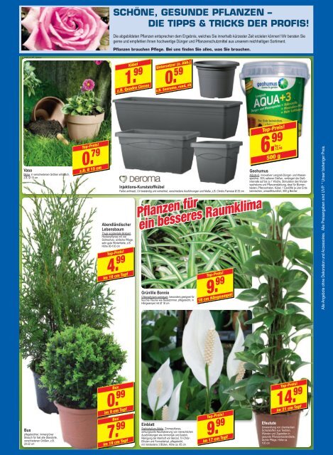 grosse gartenfreude – kleiner preis! - Kömpf Bauzentrum