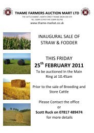 25 FEBRUARY 2011 - Thame Farmers Auction Mart