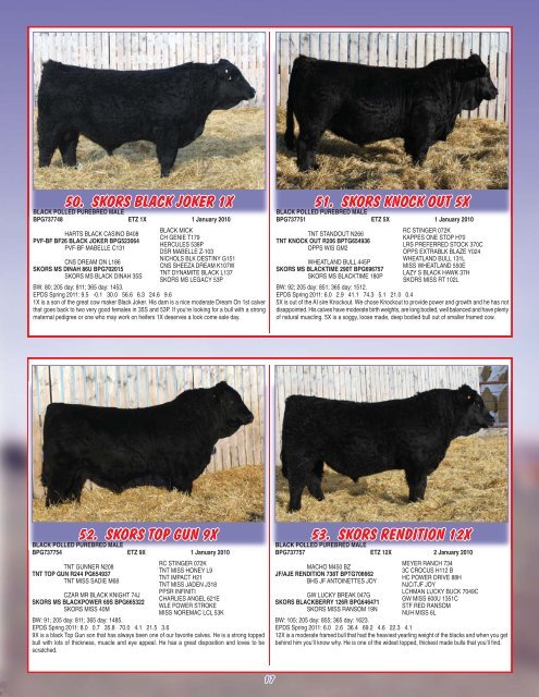 Skor Simmentals Bull Sale - Transcon Livestock Corporation