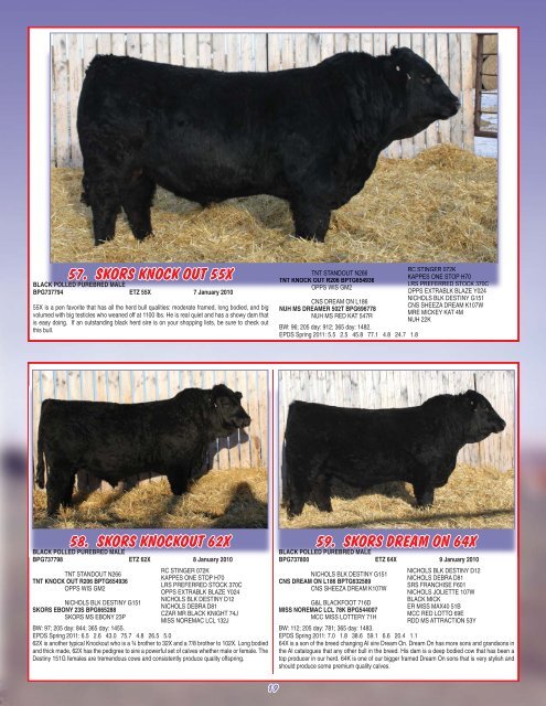 Skor Simmentals Bull Sale - Transcon Livestock Corporation