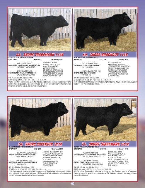 Skor Simmentals Bull Sale - Transcon Livestock Corporation