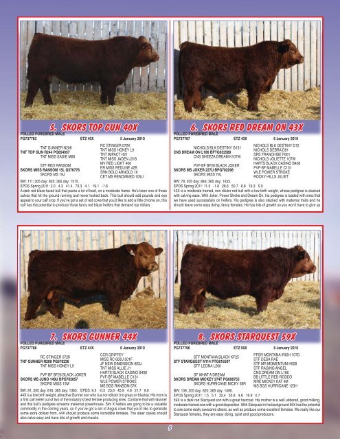 Skor Simmentals Bull Sale - Transcon Livestock Corporation