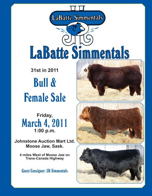 håndled beløb Ups LaBatte Simmentals 31st annual Bull Sale - Transcon Livestock ...
