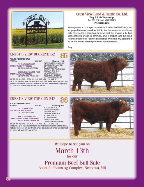 Simmental - Transcon Livestock Corporation