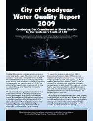 Goodyear AZ Water Report