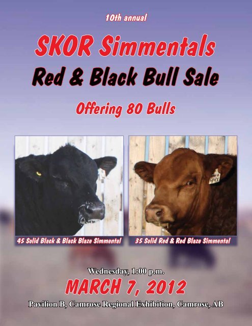 Red & Black Bull Sale - Transcon Livestock Corporation