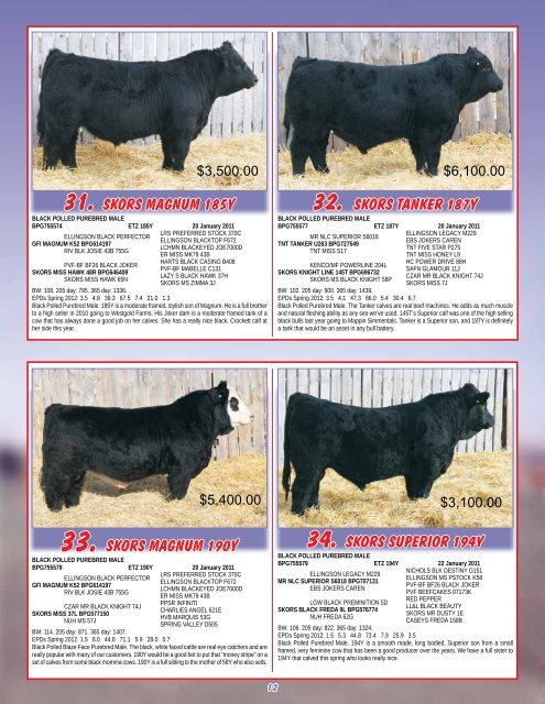 Red & Black Bull Sale - Transcon Livestock Corporation