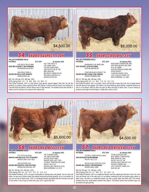 Red & Black Bull Sale - Transcon Livestock Corporation