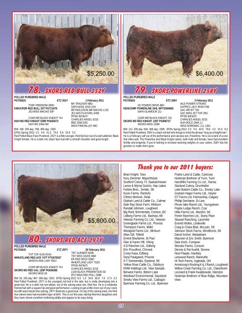 Red & Black Bull Sale - Transcon Livestock Corporation