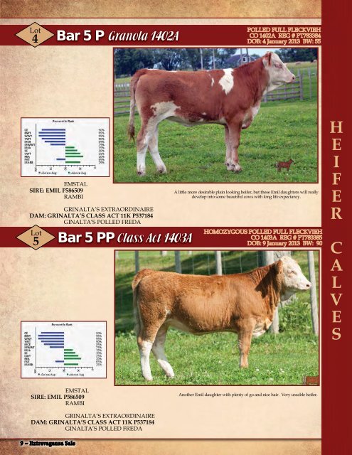 BAR 5 SALES BARN - At the Farm - Transcon Livestock Corporation