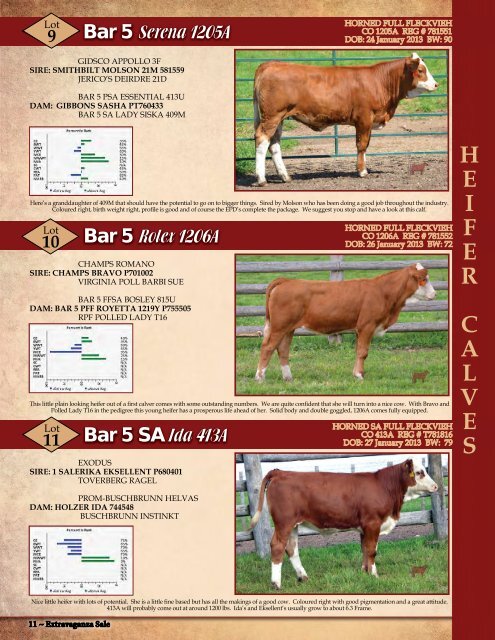 BAR 5 SALES BARN - At the Farm - Transcon Livestock Corporation