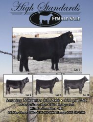 High Standards Female Sale - Dwyer Cattle Services