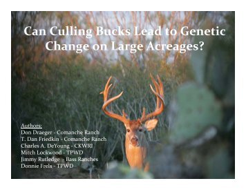 Can Culling Bucks Lead to Genetic Change on Large Acreages?