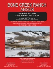 BONE CREEK RANCH ANGUS - SaskLivestock